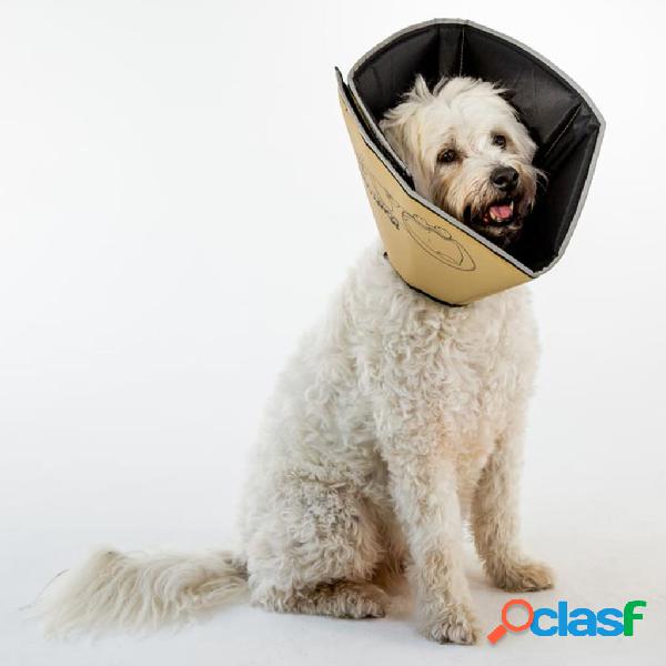 All Four Paws Collar electrónico de mascota Comfy Cone
