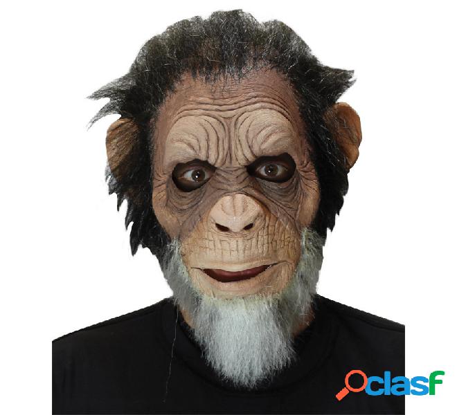 Máscara de Mono Chimpancé Old Julius Ape