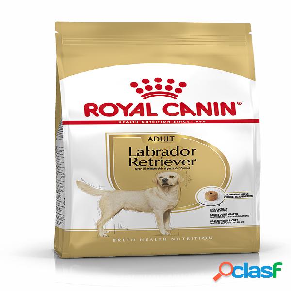 Royal Canin Labrador Retriever Adult 3 kg