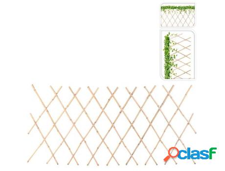 Celosia plantas bambu 45x180 cm