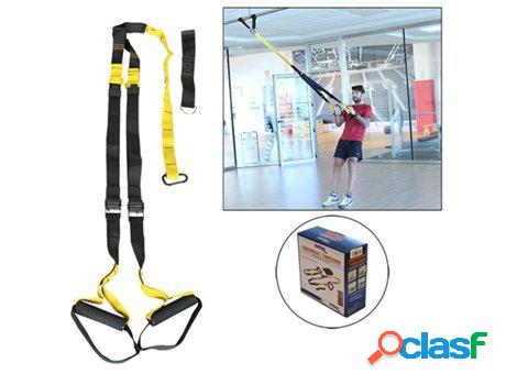 Dynamic trainer softee