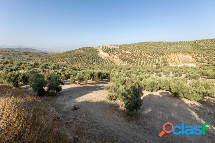 Finca rústica en Nivar