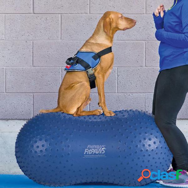FitPAWS Plataforma de equilibrio para mascotas Trax Peanut