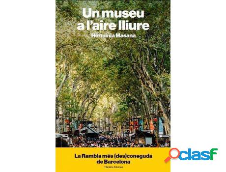 Libro Un Museu A L&apos;Aire Lliure de Hermínia Masana