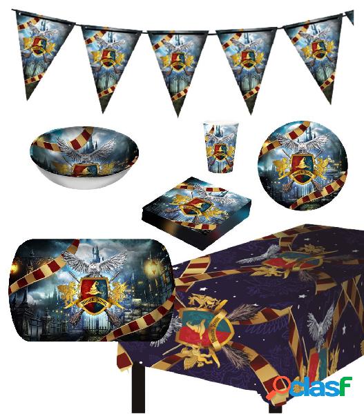 Pack De Fiesta Harry Potter