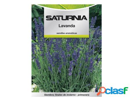 Semillas aromaticas lavanda (0.5 gramos) horticultura,