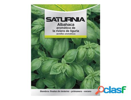 Semillas aromáticas albahaca aromatica (5 gramos)