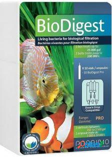 Bio Digest Pro Limpiador Biológico 10 Prodibio