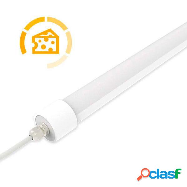 Tubo led dc12v ip65 18w 120cm quesos y fiambres blanco