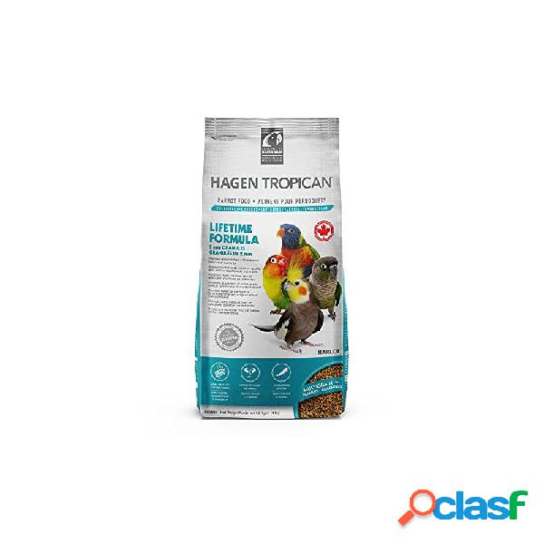 pienso para agapornis, ninfas y pequeñas psittacidas
