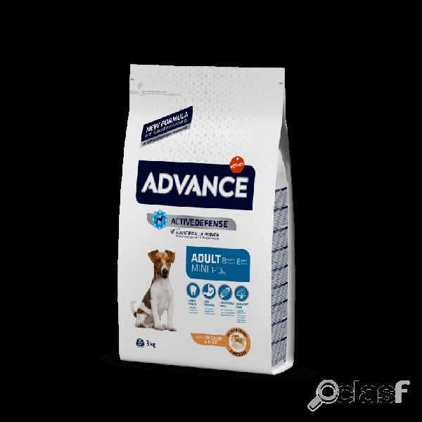 Advance Mini Adult Pollo 800 gr