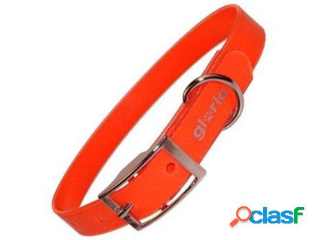 Collar para Perros GLORIA PETS Tpu Nylon Amarillo (20 mm x