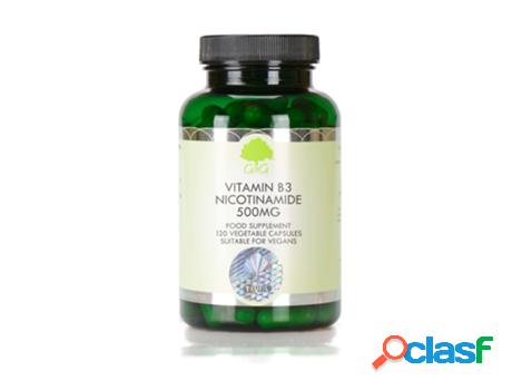 G&G Vitamins Vitamin B3 Nicotinamide 500mg 120&apos;s