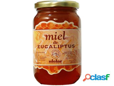 Miel de Eucalipto MIELAR (500 g)