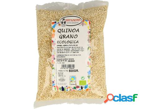 Quinoa En Grano Eco INTRACMA (500 g)