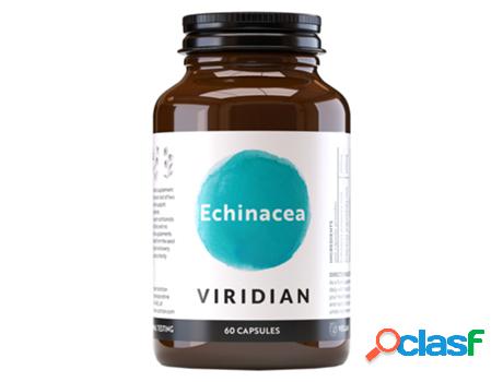 Viridian Echinacea 60&apos;s