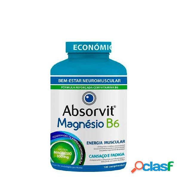 Absorvit Magnesio B6 Comprimidos x180