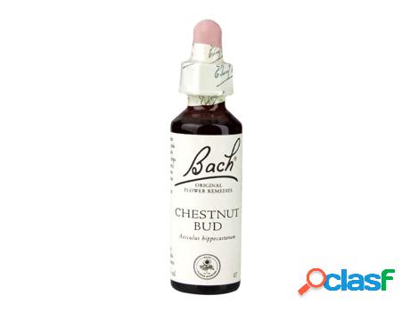 Bach Flower Remedies Chestnut Bud 20ml