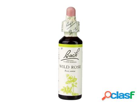 Bach Flower Remedies Wild Rose 20ml