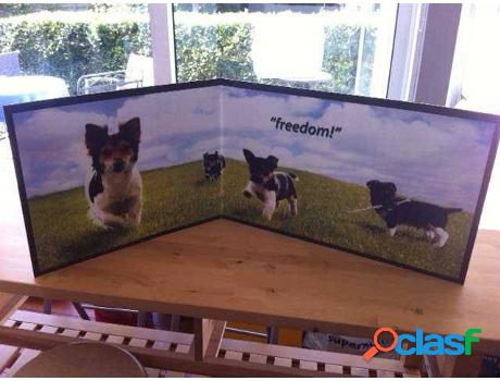 Barrera para Perros PIDDLE PLACE Libertad
