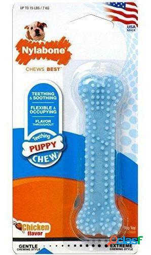 Blue Dental Chew Xs XS Nylabone