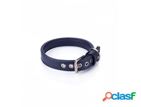 Collar para Perros PAMPPY (S - Azul)
