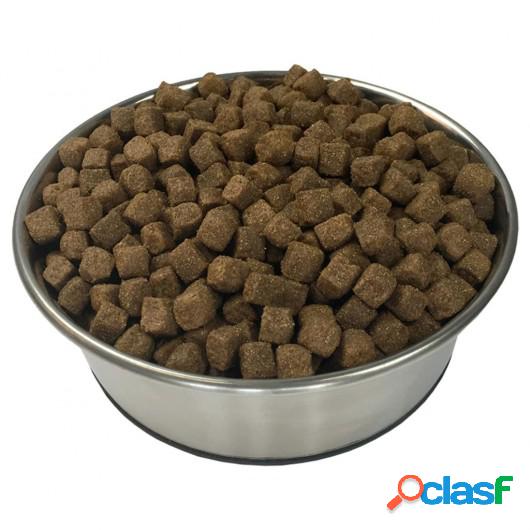 Comida seca para perro Adult Active Chicken &amp Fish 2 uds