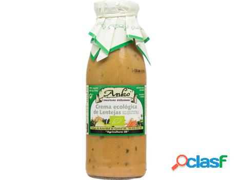 Crema Ecológica de Lentejas con Alga Kombu y Espagueti de