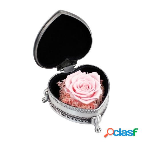 Flor de rosa real preservada en caja de regalo en forma de