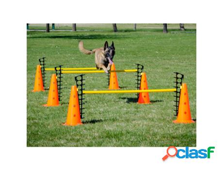 Formación para Perros FITPAWS Conjunto de Obstáculos