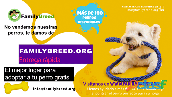 Perros gratis para adopción de familybreed.org