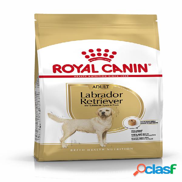 Royal Canin Labrador Retriever Adult 12 kg