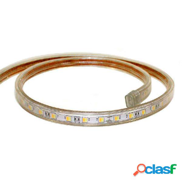 Tira led 220v smd5050 dual 60led/m carrete 1 metro blanco
