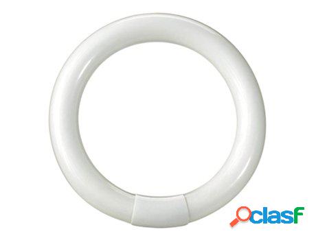 Tubo fluorescente circular trifósforo t9 32 w. 311 mm.