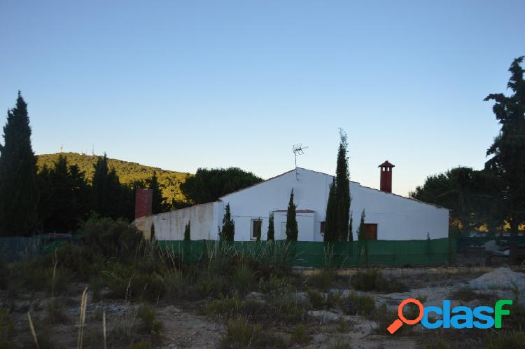 VENTA BONITA FINCA CON VIVIENDA EN ALBUÑUELAS