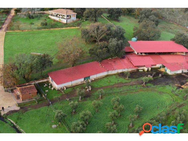 COMPRAR FINCA DE RECREO, IDEAL INVERSIÓN EN CÁCERES