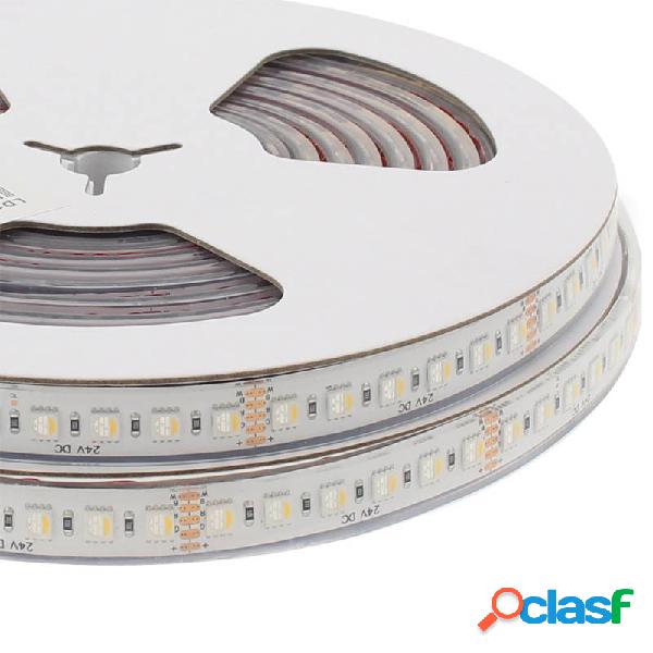 Tira led osram smd5050 rgb+w dc24v 5m (96led/m 4 en 1) -