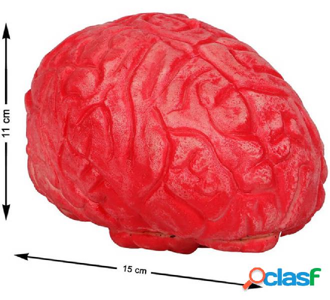 Cerebro Sangriento para decoración de 15x11 cm