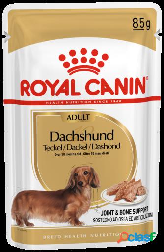 Dachshund Adult 85 gr Royal Canin