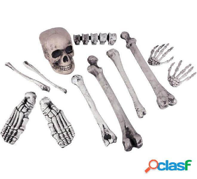 Esqueleto con Cráneo y 11 huesos