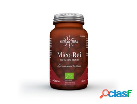Hifas da Terra Mico-Rei 70&apos;s