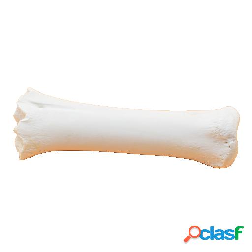 Hueso Vacuno Calcio Snack para Perros 20 Traveness