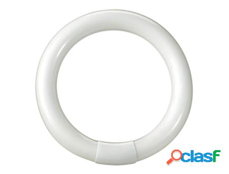 Tubo fluorescente circular trifósforo t9 22 w. 216 mm.