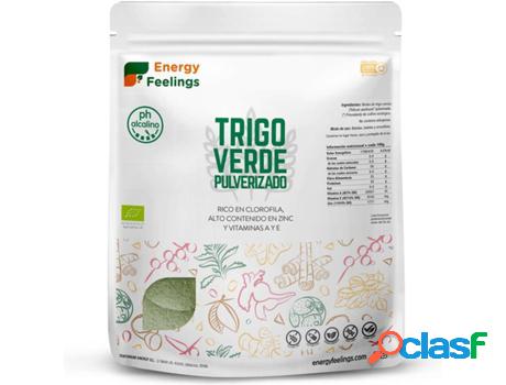 Hierba de Trigo Verde Eco Pulverizado Xxl Pack ENERGY