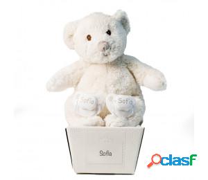 Pack de 2 chupetes personalizados y oso de peluche gris
