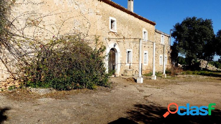 Tradición y modernidad en el campo de Llubí