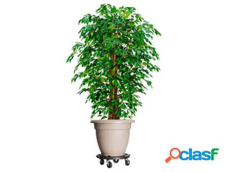 Carritos para Plantas VIDAXL (Negro -Polipropileno