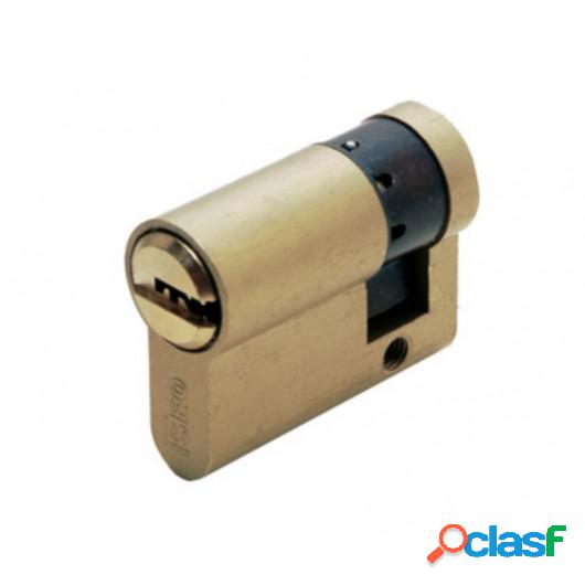 Cilindro Seguridad 30X10Mm R6 Laton Leva Larga Iseo