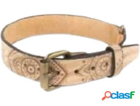 Collar para Perros EL MEJOR AMIGO DEL PERRO Flores Chackras