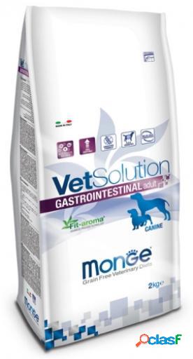 Gastrointestinal 12 KG Monge Vet Solution